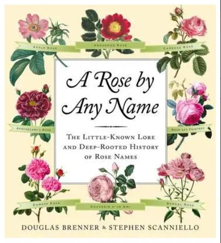 Rose By Any Name