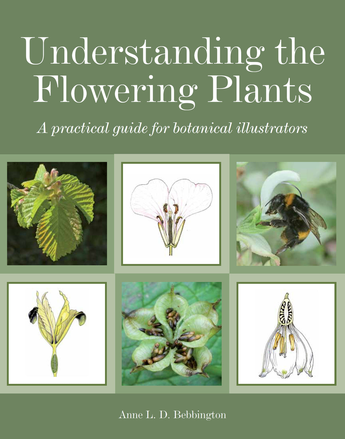 Understanding the Flowering Plants