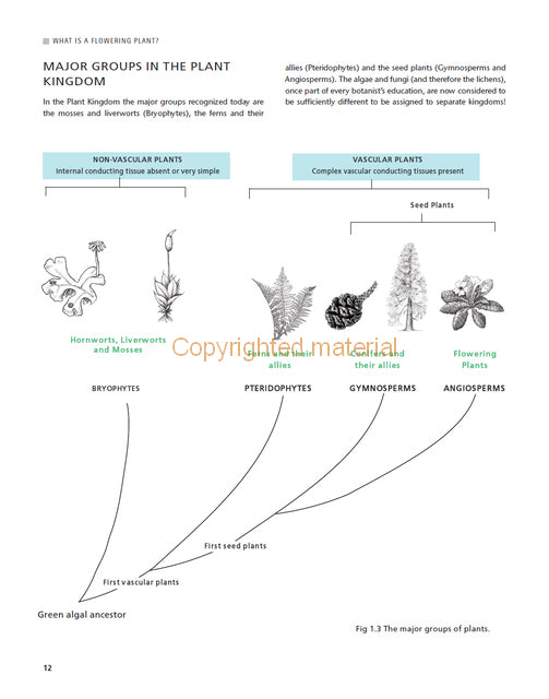 Understanding the Flowering Plants