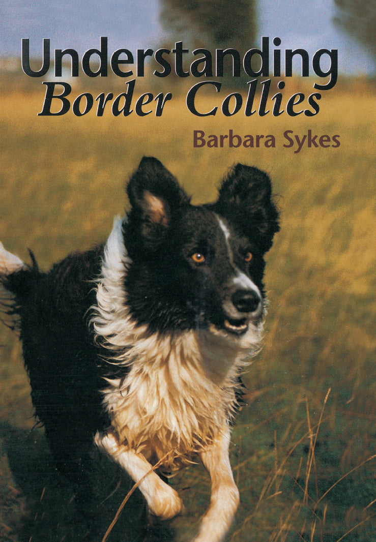 Understanding Border Collies