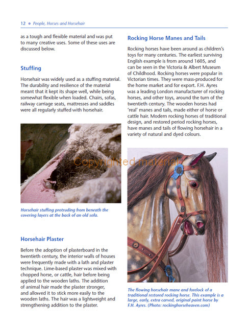 Understanding the Horse&#39;s Skin and Coat